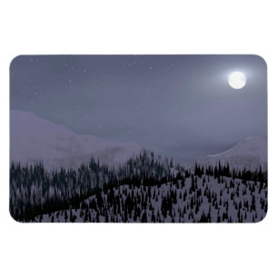 Ímã Noite Fria Em Idaho