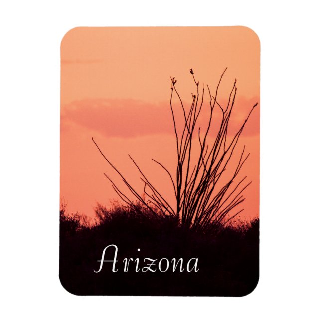 Ímã noites de deserto na Arizona (Vertical)