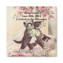 Noiva e noiva de gatos casados