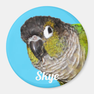 Imã Nome de Foto de Ave de Estimação Personalizada