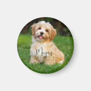Imã Nome de Foto Pet Personalizado