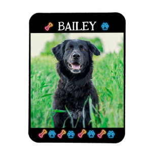 Ímã Nome e Foto Simples Moderno de Pet