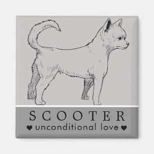 Imã Nome Personalizado de Pet de Cão