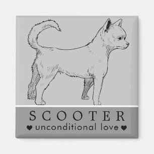 Imã Nome Personalizado Pet Puppy Pet Cão