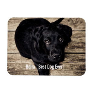Ímã Nome preto personalizado da foto do cão do