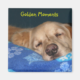 Imã Nomeie o seu ímã