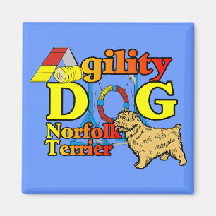 Imã Norfolk_Terrier_Agility
