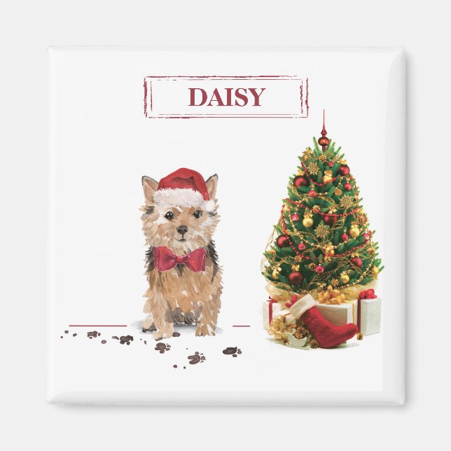 Imã Norfolk Terrier Engraçado Cachorro de Natal com Ár (Frente)