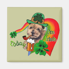 Imã Norfolk Terrier St Patricks