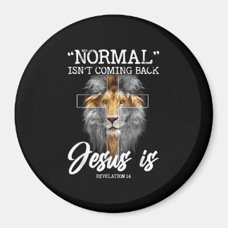 Imã Normal não está voltando, mas Jesus é a Revelação