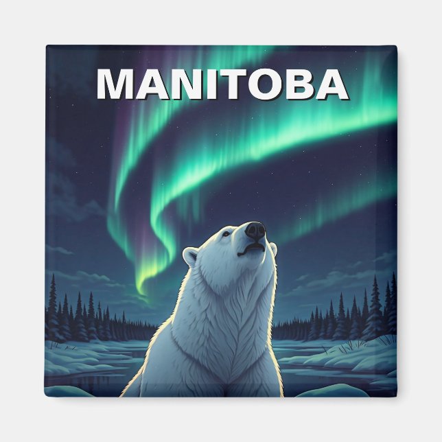 Imã Norte do Urso Polar ilumina Manitoba Canadá (Frente)