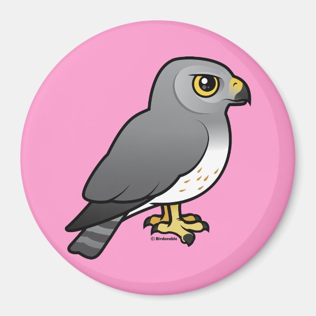 Imã Norte Harrier masculino (Frente)