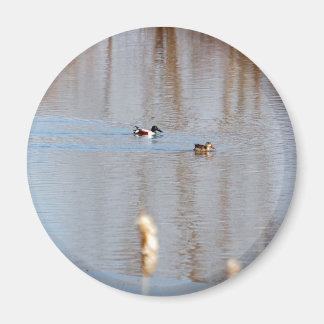 Imã Norte Shoveler