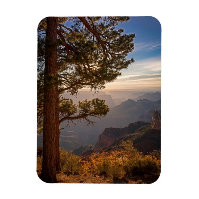Ímã North Rim Sunrise (Vertical)