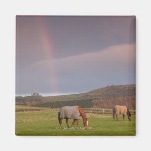 Imã Northumberland, Inglaterra