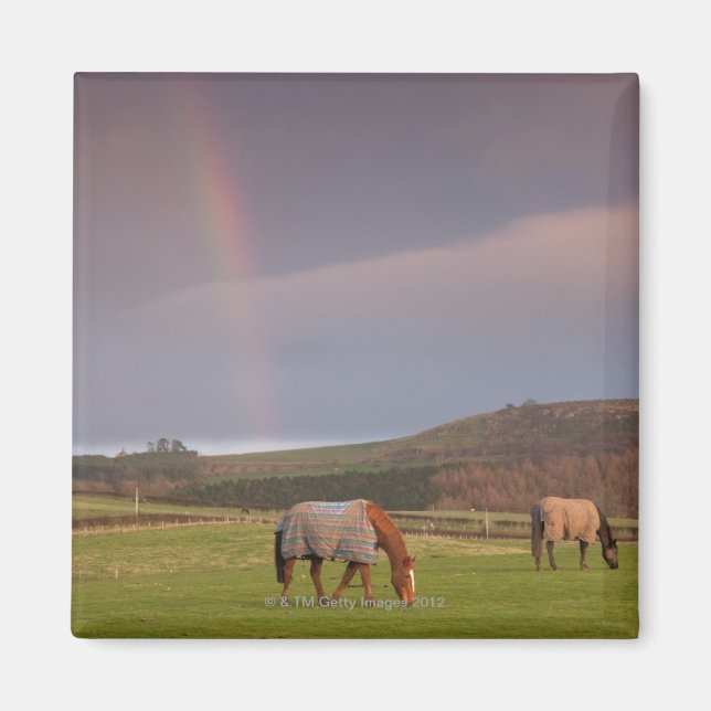 Imã Northumberland, Inglaterra (Frente)