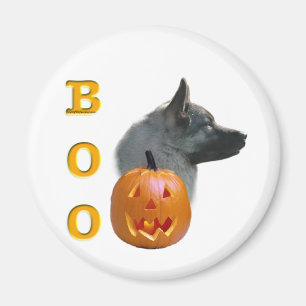 Imã Norueguês Elkhound Boo
