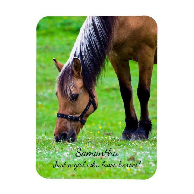 Ímã Norwegian Fjord Horse (Vertical)