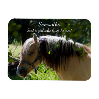 Ímã Norwegian Fjord Horse