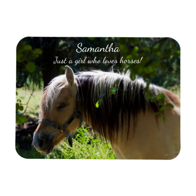 Ímã Norwegian Fjord Horse (Horizontal)