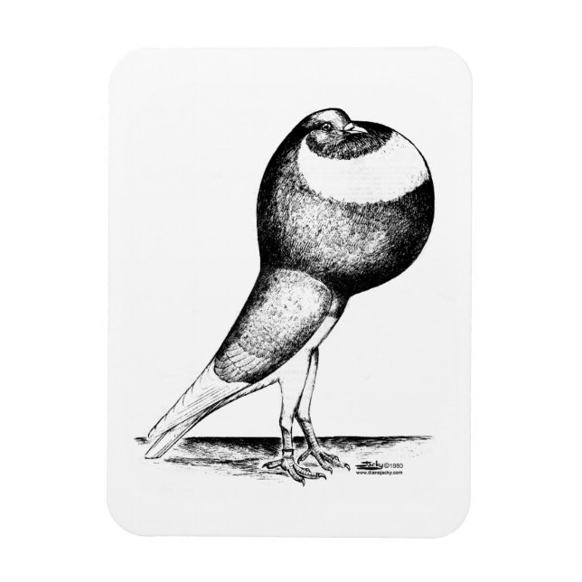 Ímã Norwich Cropper 1980 (Vertical)