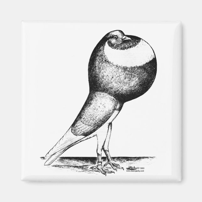 Imã Norwich Cropper 1980 (Frente)