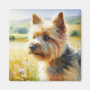 Imã Norwich Terrier