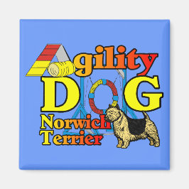 Imã Norwich_Terrier_Agilidade