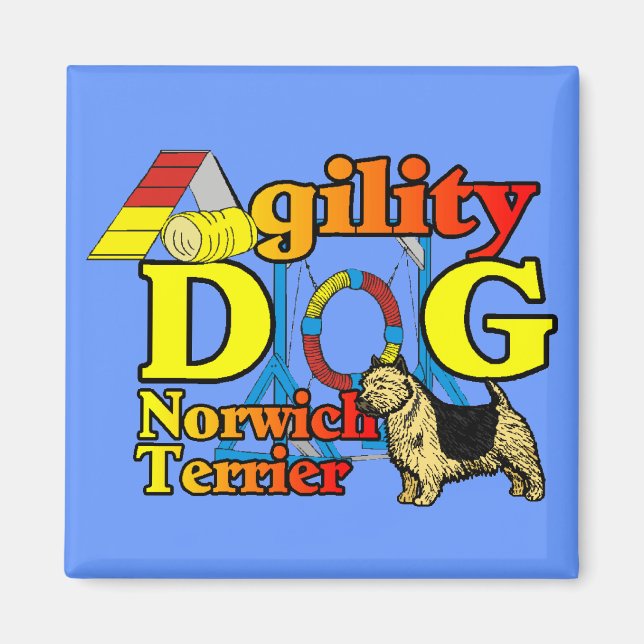 Imã Norwich_Terrier_Agilidade (Frente)