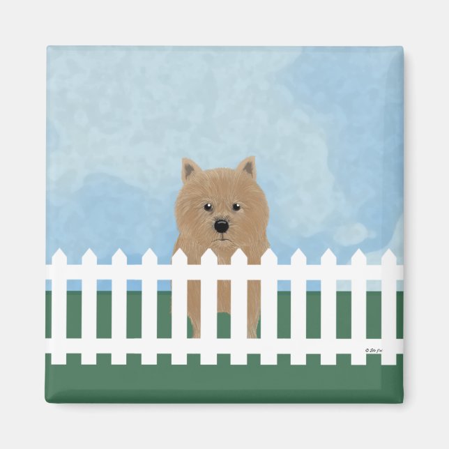 Imã Norwich Terrier Magnet (Frente)