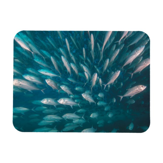 Ímã Nos Jacks (Horizontal)