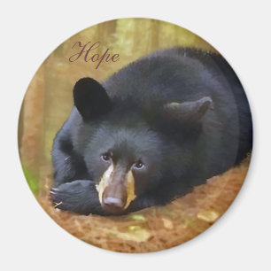 Imã Nosso ímã da esperança