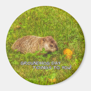 Imã Notícias do dia de Groundhog a você! ímã