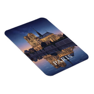 Ímã Notre Dame Cathedra Paris França