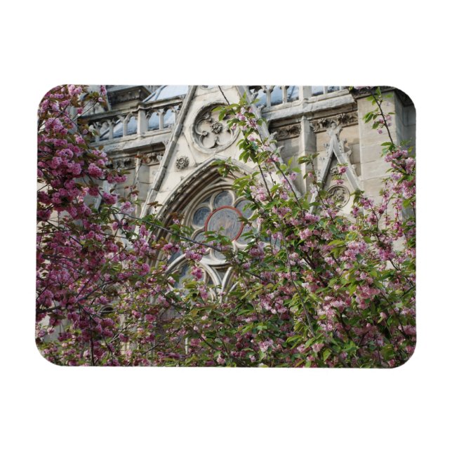 Ímã Notre Dame primavera (Horizontal)