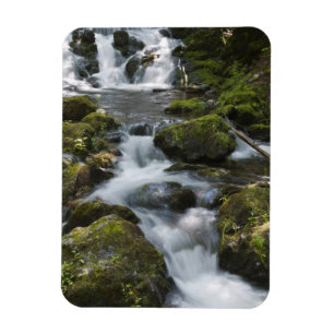 Ímã Nova Brunswick, Canadá. Dickson Falls em Fundy