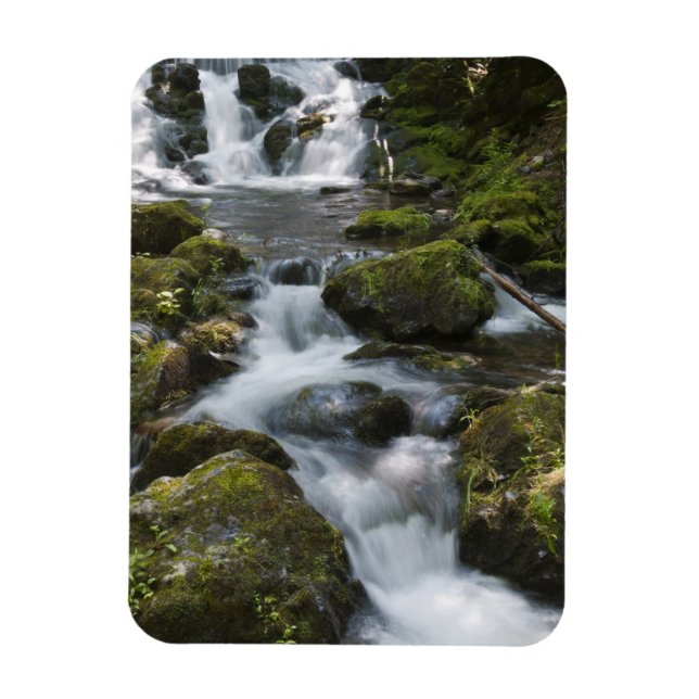 Ímã Nova Brunswick, Canadá. Dickson Falls em Fundy (Vertical)