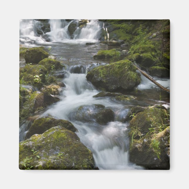 Imã Nova Brunswick, Canadá. Dickson Falls em Fundy (Frente)