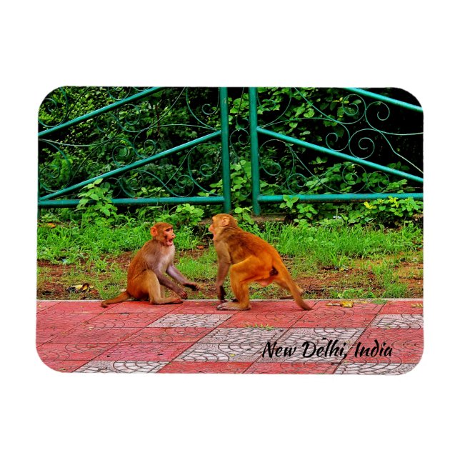 Ímã Nova Deli, Índia (Horizontal)