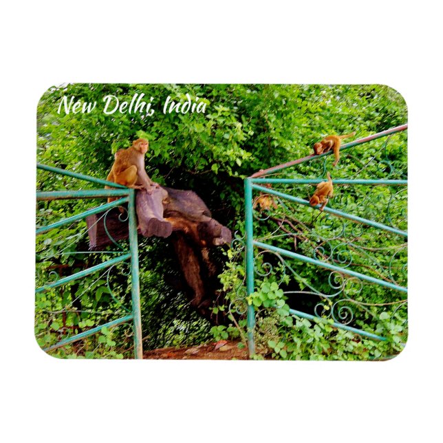 Ímã Nova Deli, Índia (Horizontal)