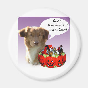 Imã Nova Escócia Duck Tolling Retriever Halloween Cand