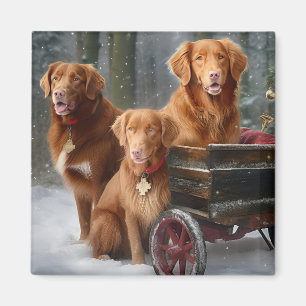 Imã Nova Scotia Duck Toller Retriever Trenó Nevado