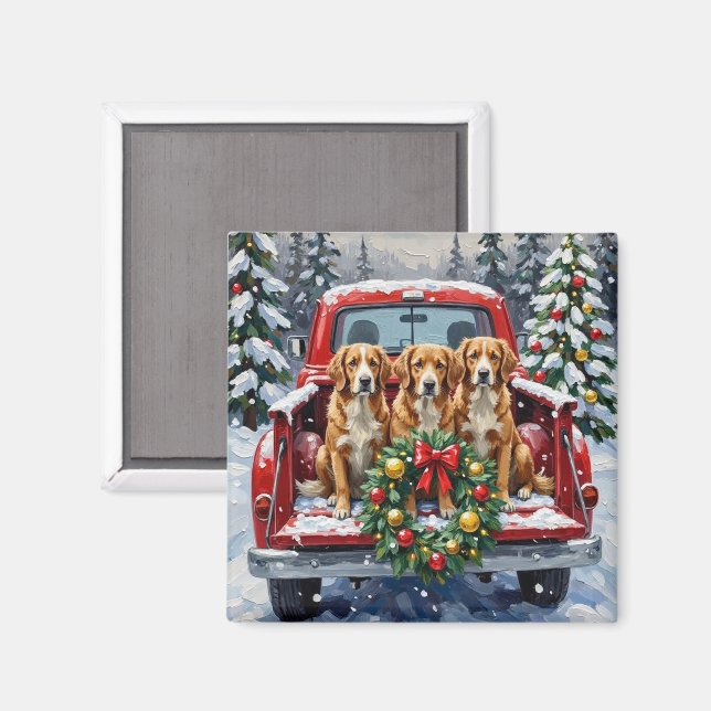 Imã Nova Scotia Duck Tolling Retriever Christmas Red (Front/Back)