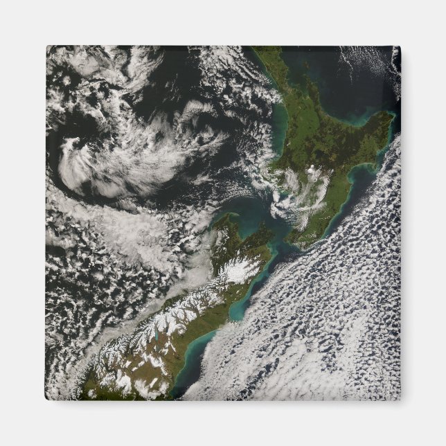 Imã Nova Zelândia 5 (Frente)