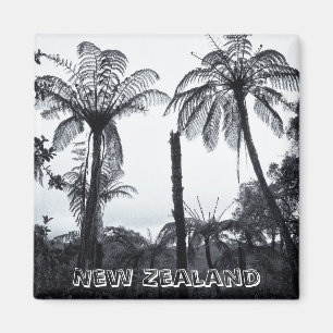 Imã Nova Zelândia, floresta da árvore da samambaia