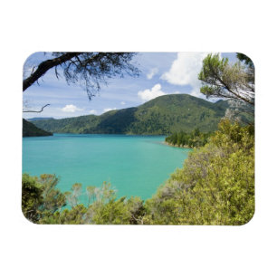 Ímã Nova Zelândia, Ilha do Sul, Marlborough Sounds.