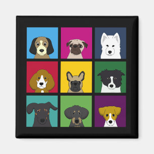 Imã Nove cães