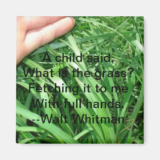 Imã Novo conjunto de ímãs pai 5 de 5