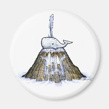 Novo ímã de fonte Whalom