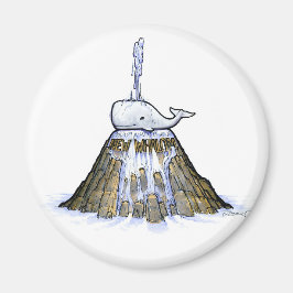 Imã Novo ímã de fonte Whalom